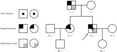 A family case report of parathyroid carcinoma associated with CDC73 mutation in hyperparathyroidism-jaw tumor syndrome